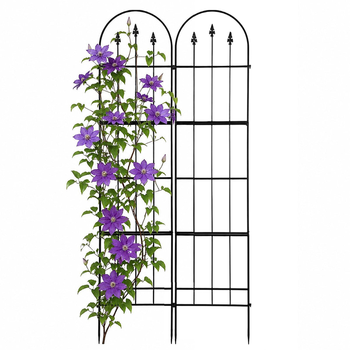 Apipi trellis front view showing full panel and clean black finish for neat support