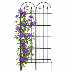 Apipi trellis front view showing full panel and clean black finish for neat support