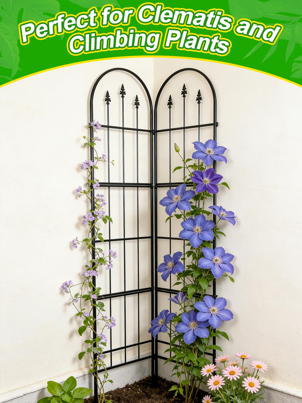 Apipi trellis in balcony planter maximizing vertical space for container gardening