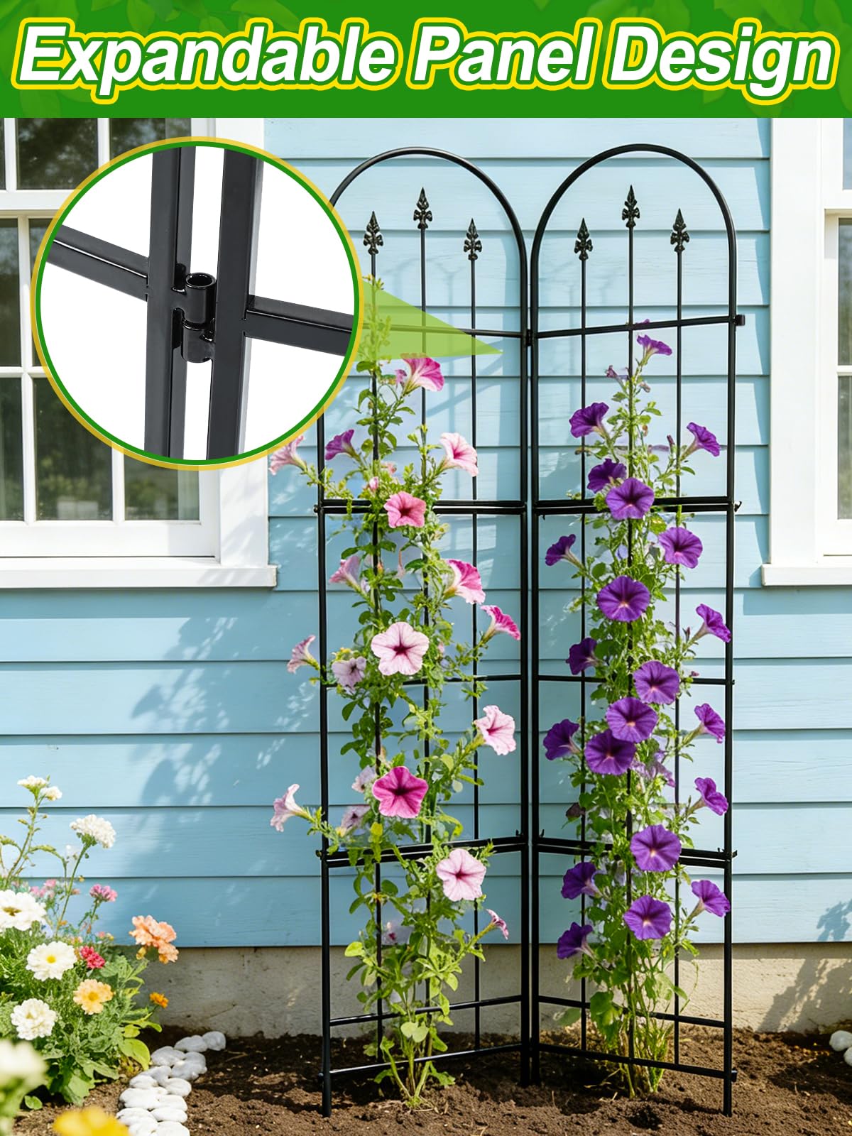 Apipi trellis next to ruler showing 71 inch height for accurate sizing