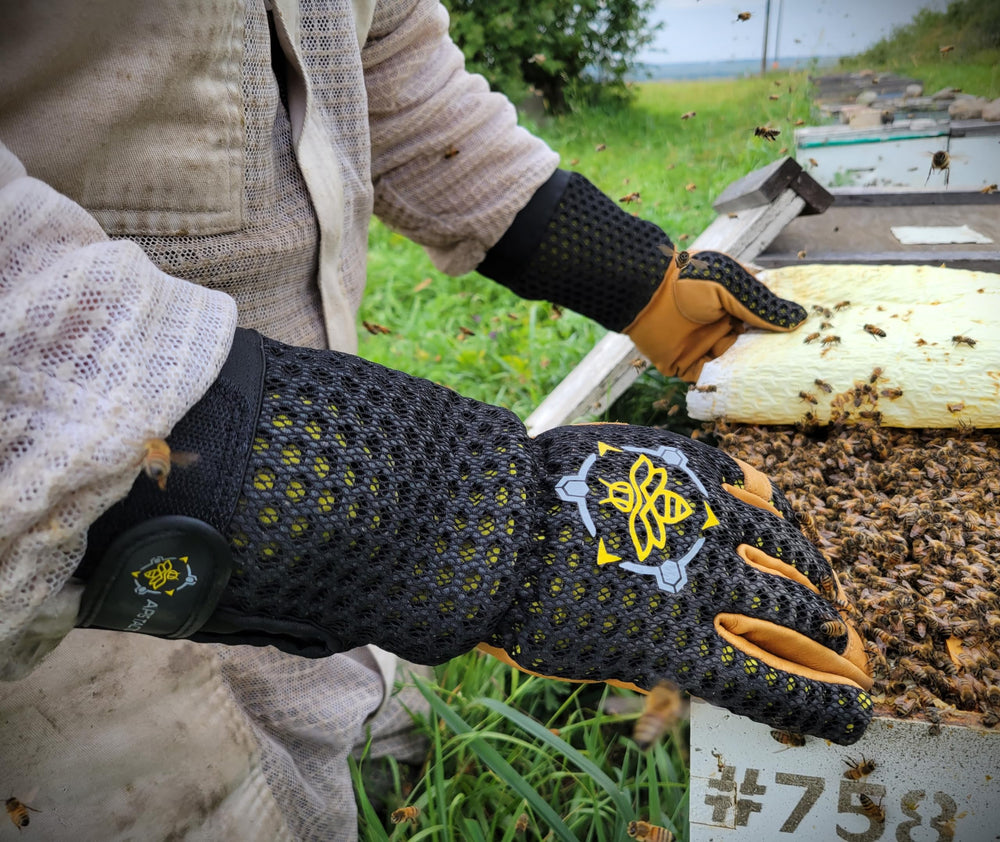 Apis Tactical glove beside ruler to show XL size and correct scale fit