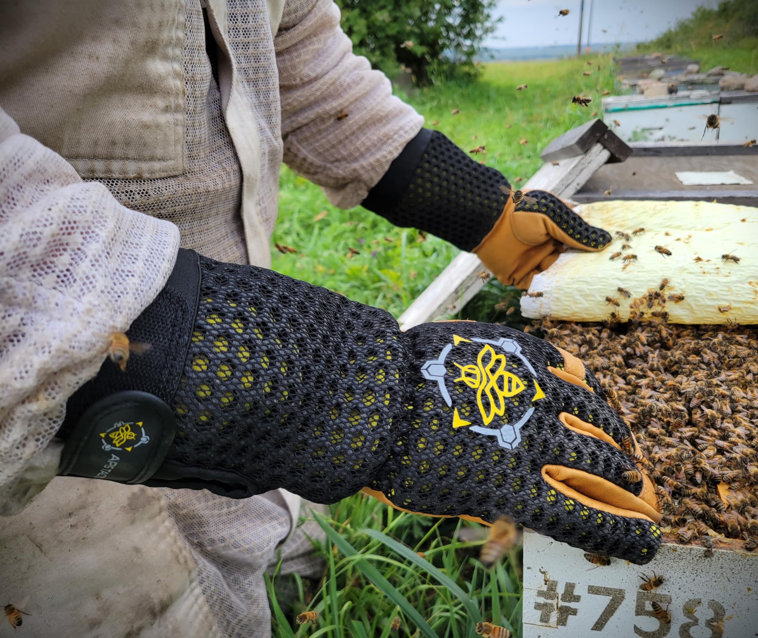 Apis Tactical size L glove worn on a hand to show fit and scale