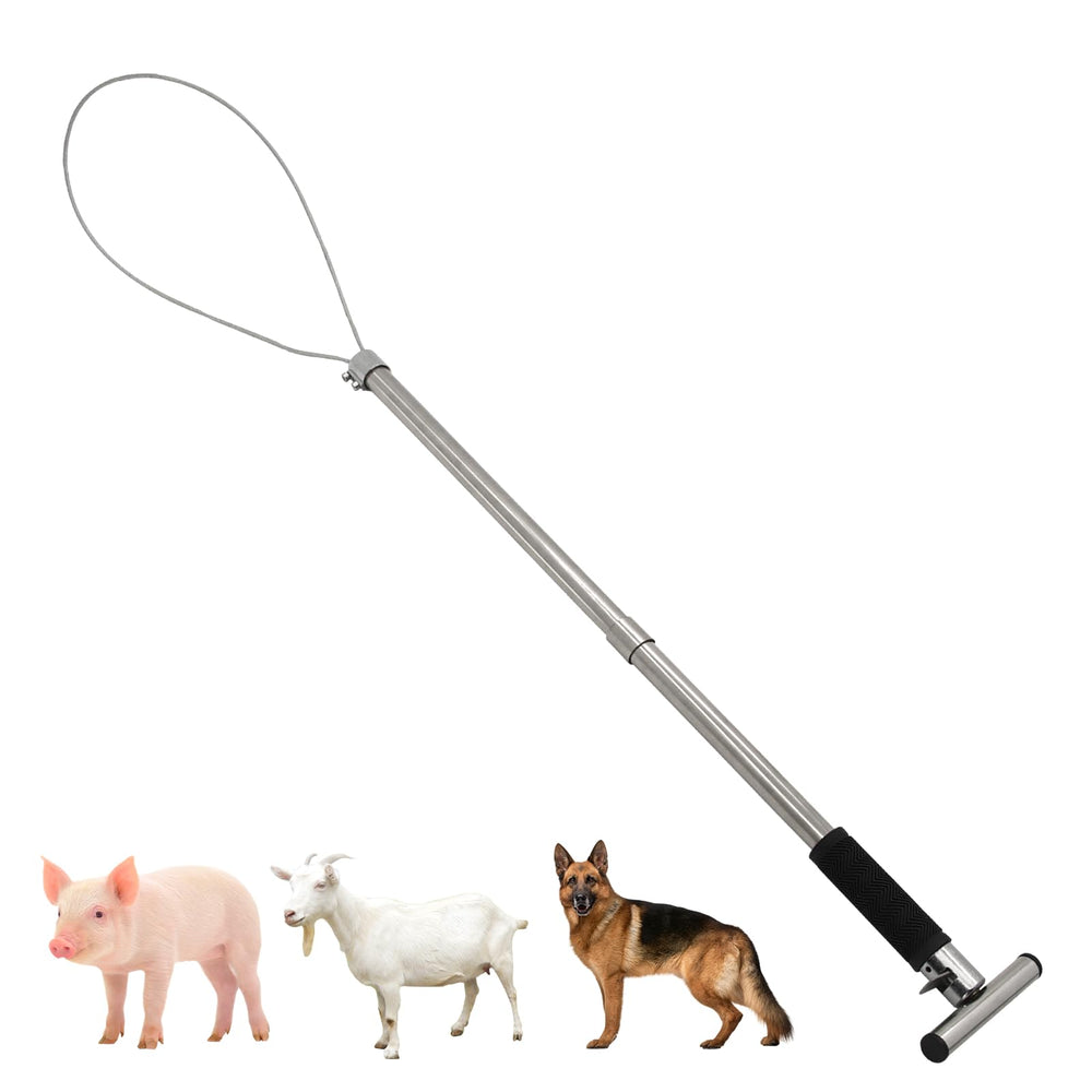 APlayfulBee front view of 30-inch catch pole, compact control for medium animals