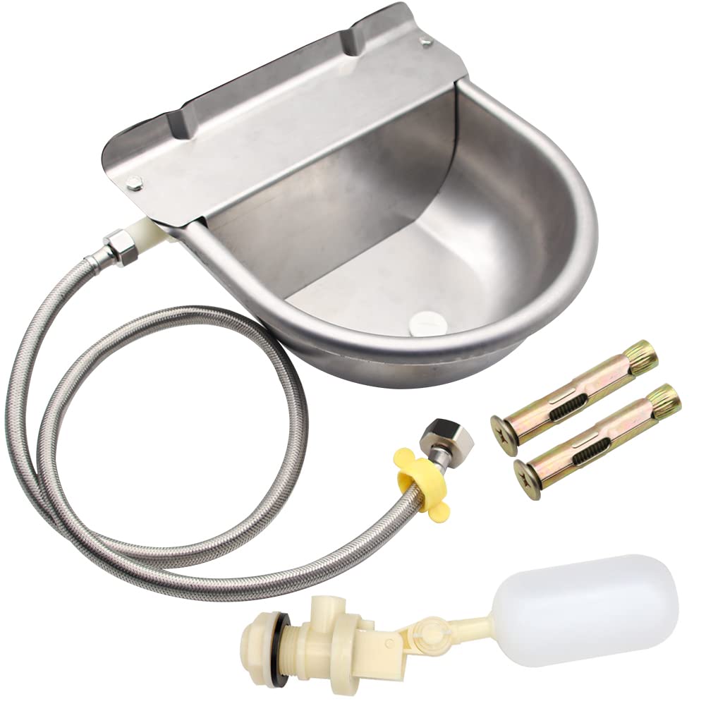 APlayfulBee front view stainless bowl showing sturdy build and durable hydration