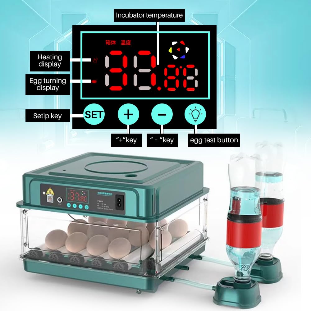 APlayfulBee open trays displaying organized egg layout and easy cleaning
