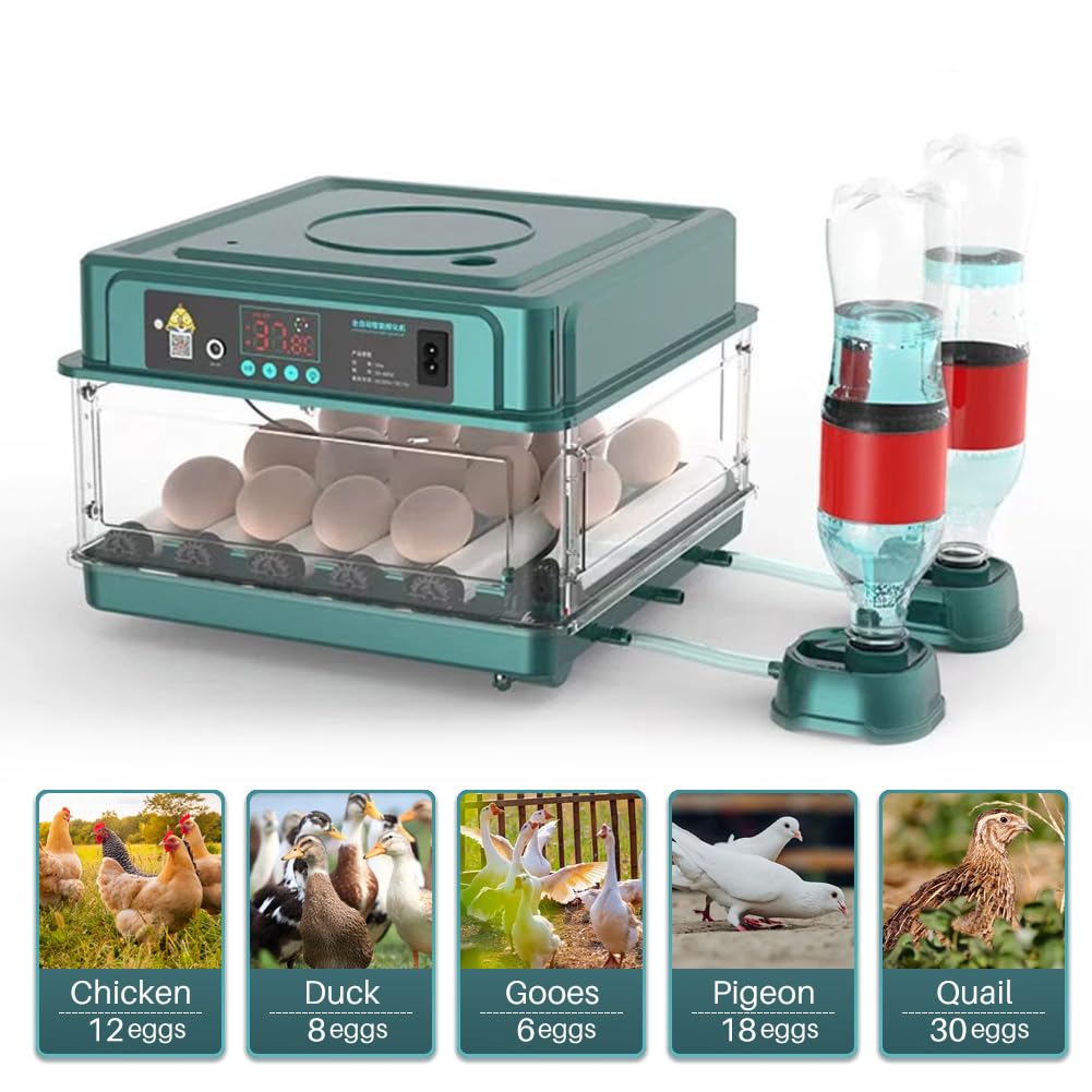 APlayfulBee incubator beside hand to show compact size advantage