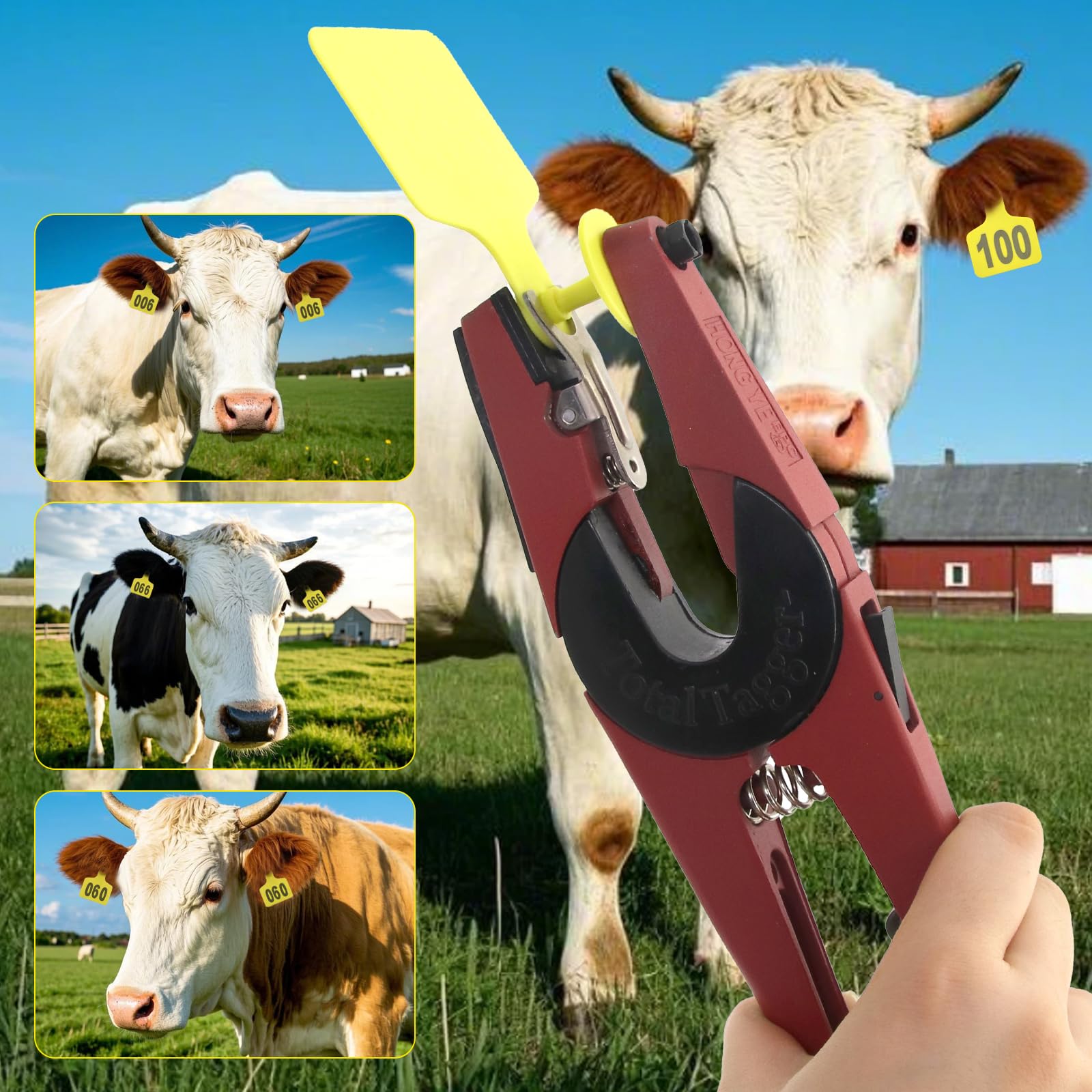 APlayfulBee ear tag attached to a cow ear illustrating visible herd identification