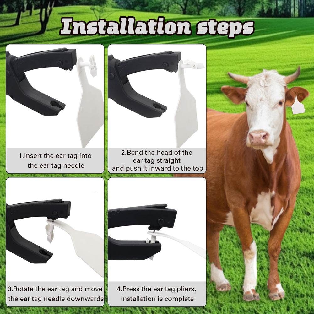 APlayfulBee tag attached to sheep ear in pasture, comfortable secure fit