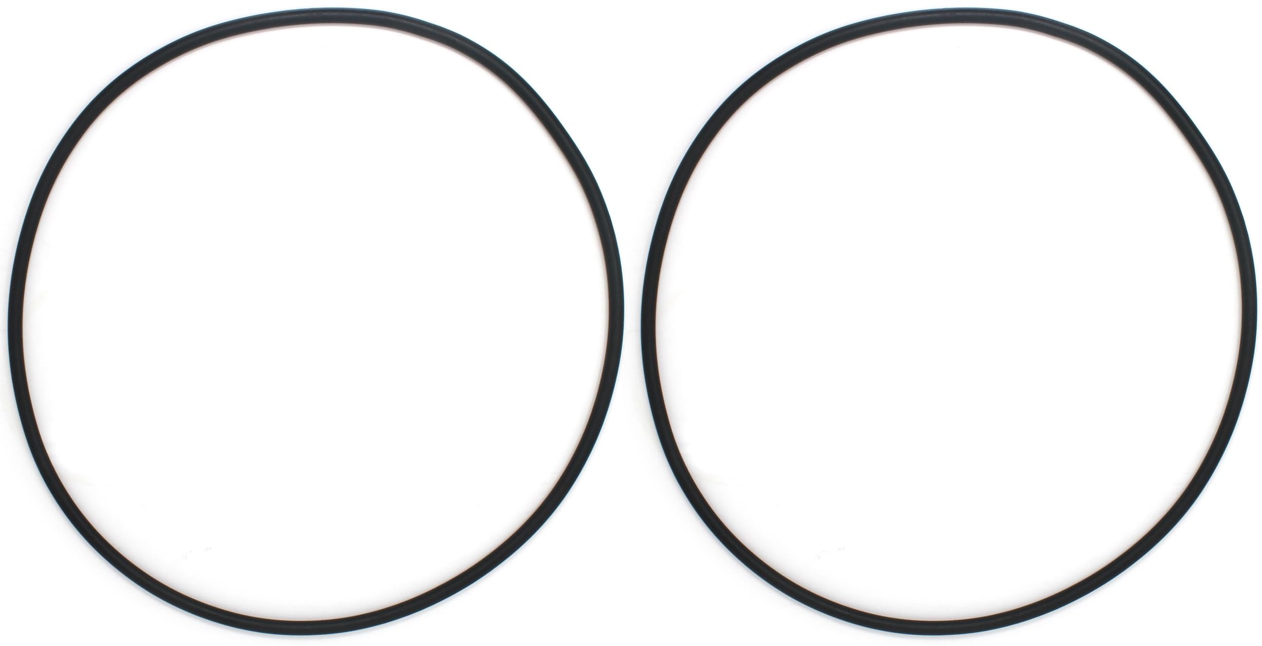 AppliaFit O-ring in hands near pool filter during maintenance, fast easy replacement benefit
