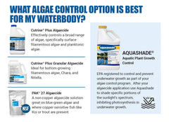 APPLIED BIOCHEMISTS product applied near dock demonstrating targeted algae control benefit
