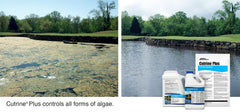 APPLIED BIOCHEMISTS granular texture close-up illustrating fast-dispersing formula benefit
