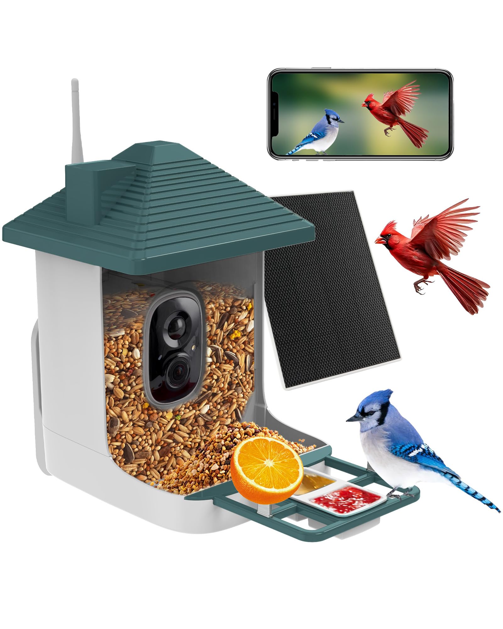 Aprilmin front view showing feeder and camera for clear backyard monitoring