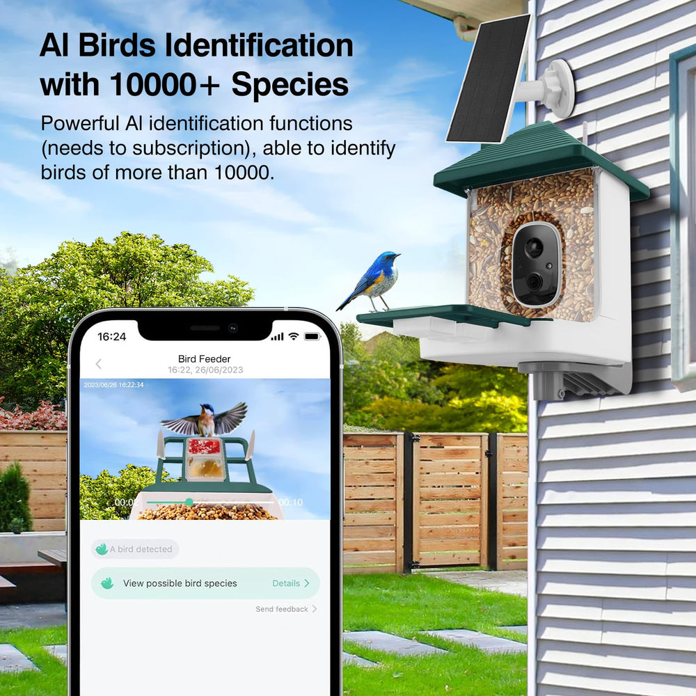 Aprilmin in-use backyard scene capturing birds and family enjoyment