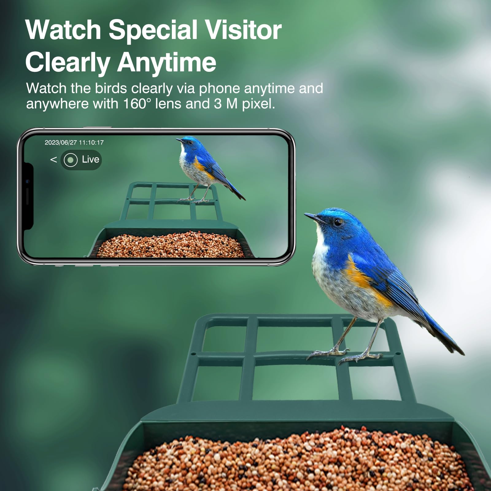 Aprilmin feeder installed in backyard setting for effortless birdwatching