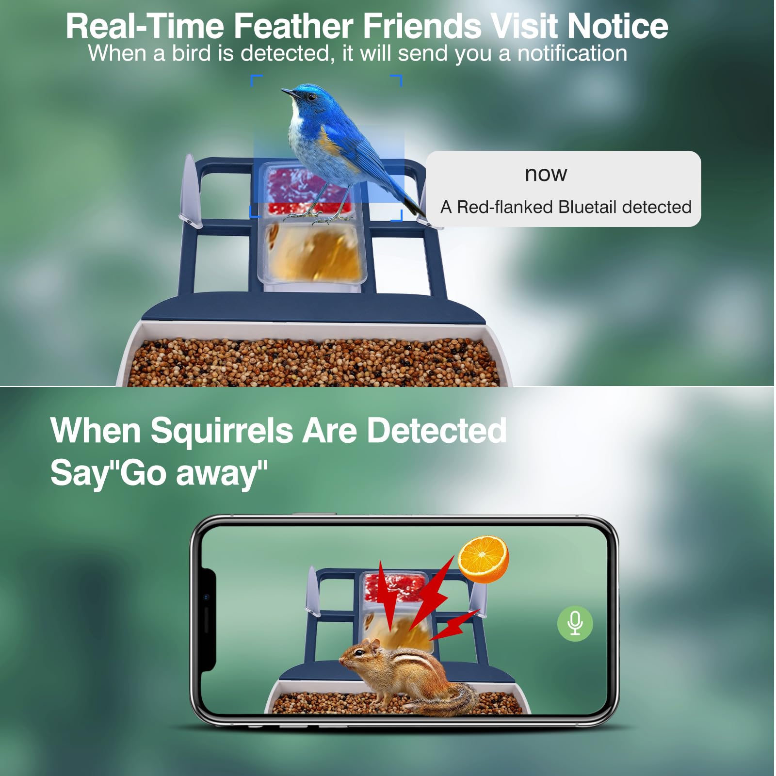 Aprilmin feeder in use with bird perched demonstrating real-time capture