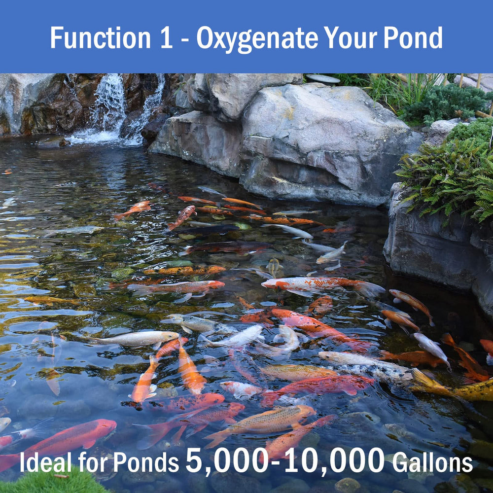AquaMiracle installed diffuser in pond producing fine bubbles to improve oxygen levels