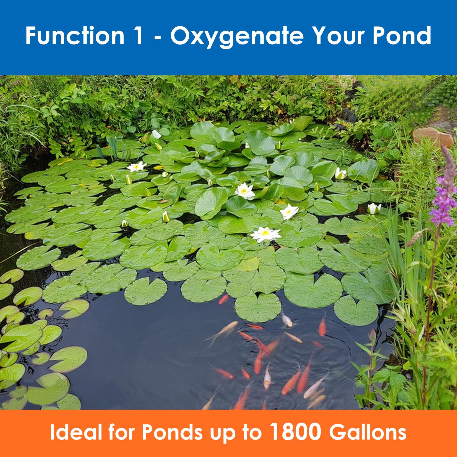 AquaMiracle aerator installed beside pond demonstrating improved water circulation