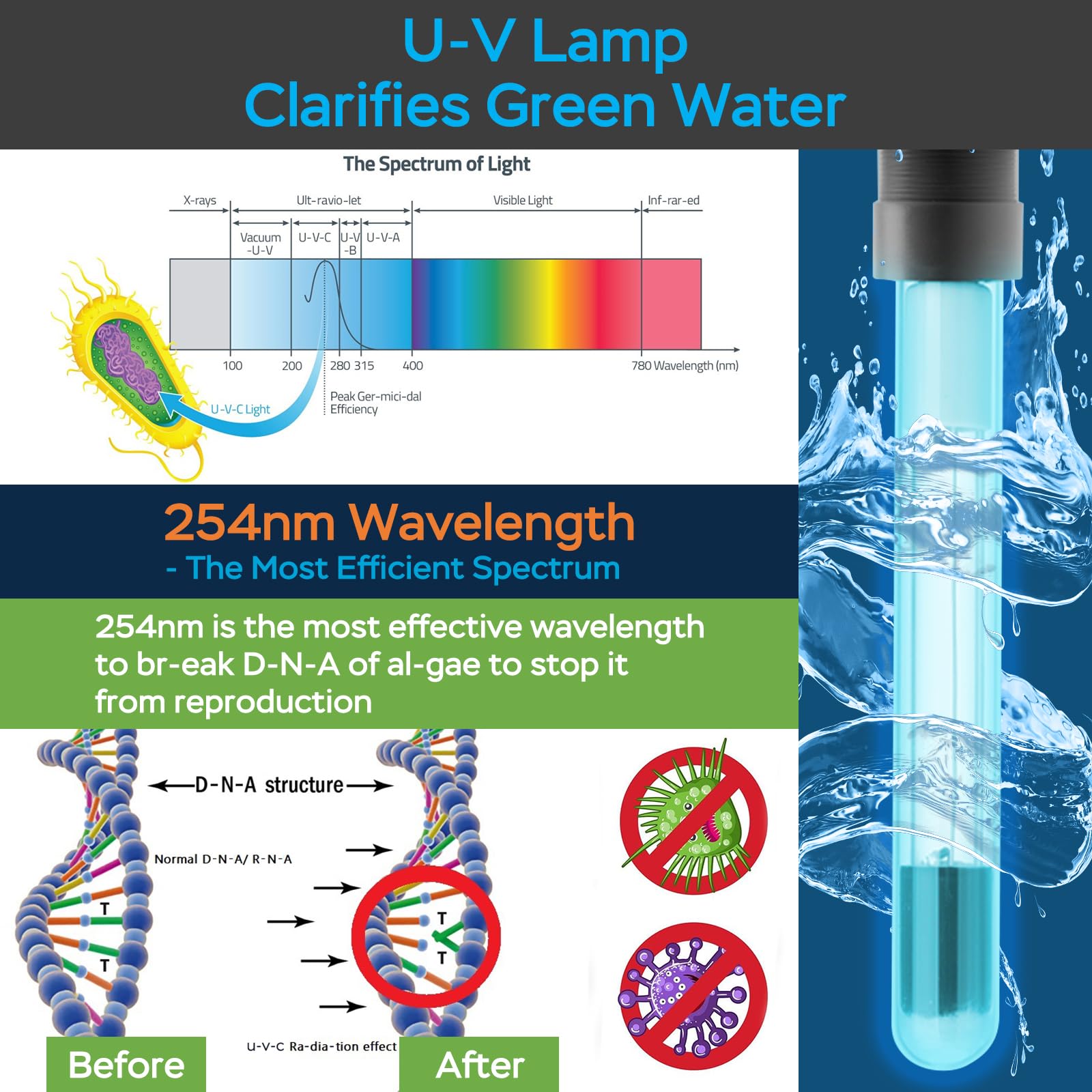 AquaMiracle pump placed in pond to demonstrate scale and reliable 850 GPH circulation