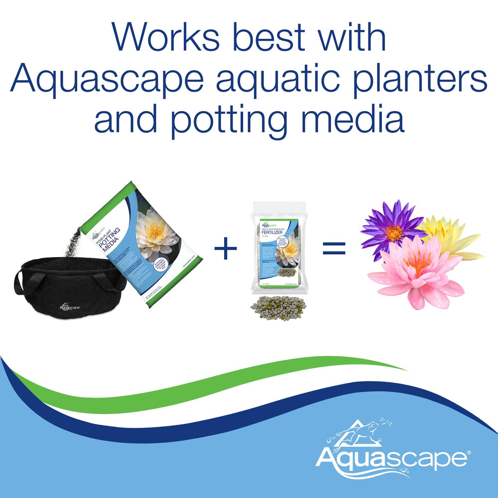 Aquascape blooming waterlily after fertilizer use showing enhanced flowering