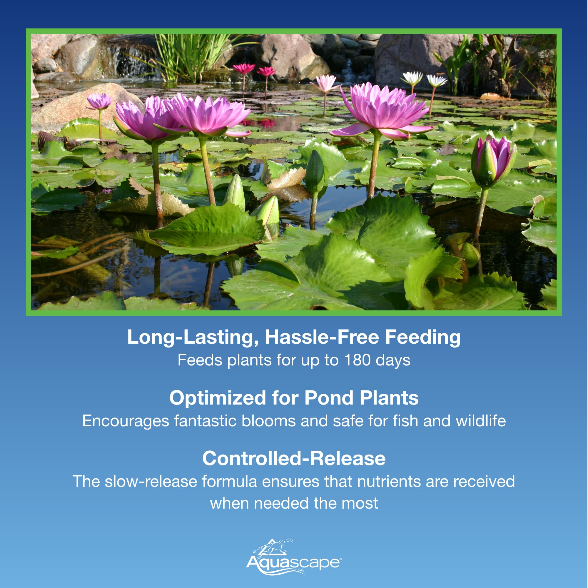 Aquascape capsule pushed into pond soil showing easy root zone placement benefit