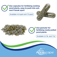 Aquascape close up of capsule texture illustrating time release nutrient delivery