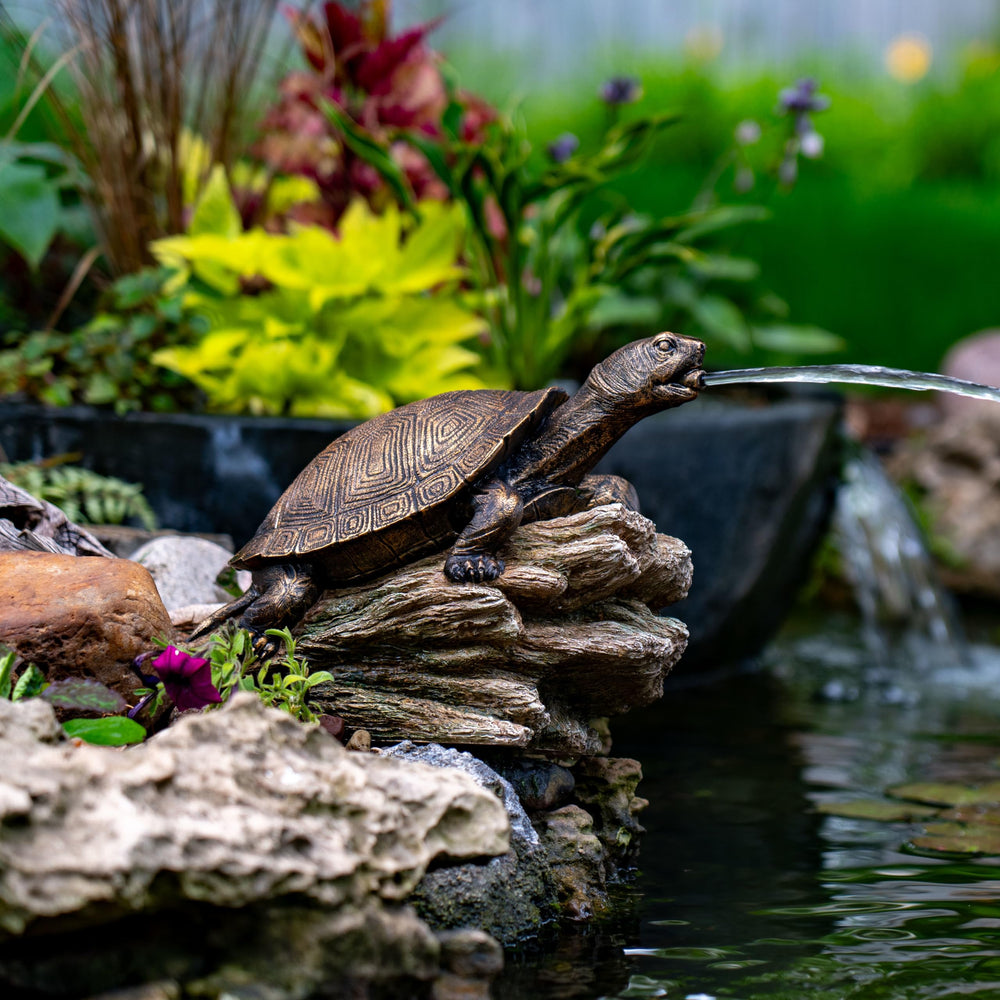 Aquascape close-up of turtle mouth detail highlighting realistic finish and water flow