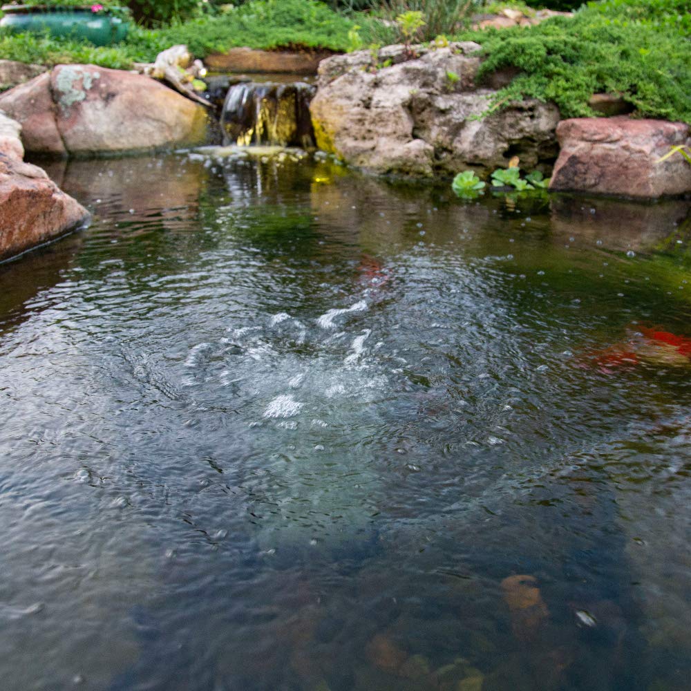 Aquascape diffuser placed on pond bottom with tubing attached demonstrating stable oxygenation benefit