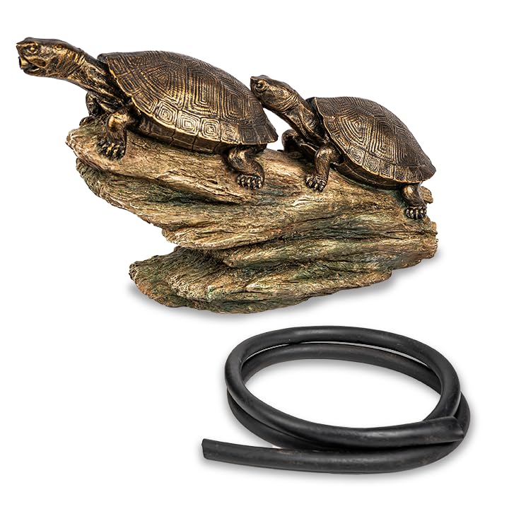 Aquascape close-up turtle detail showing sculpted texture and realistic look