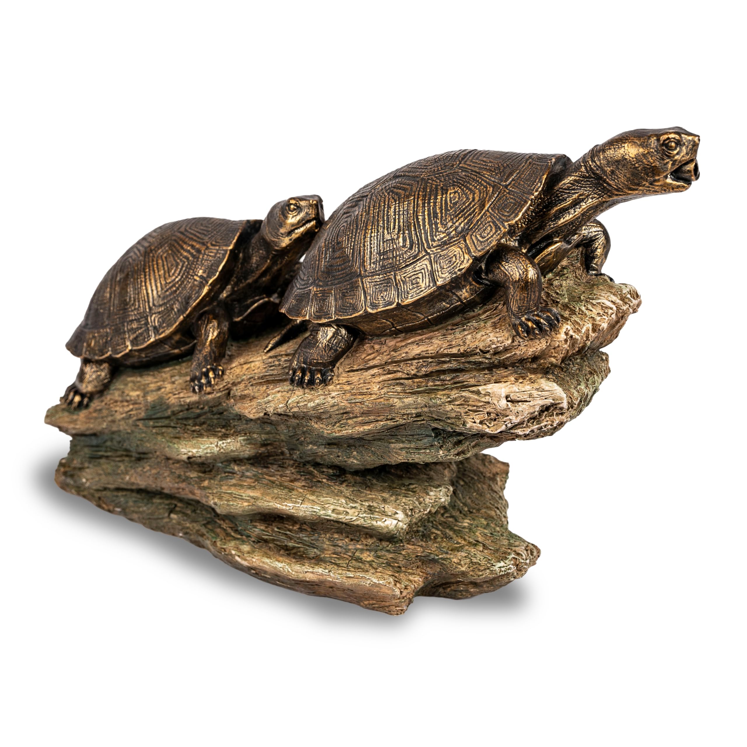 Aquascape double turtle front view showing water spout and soothing feature