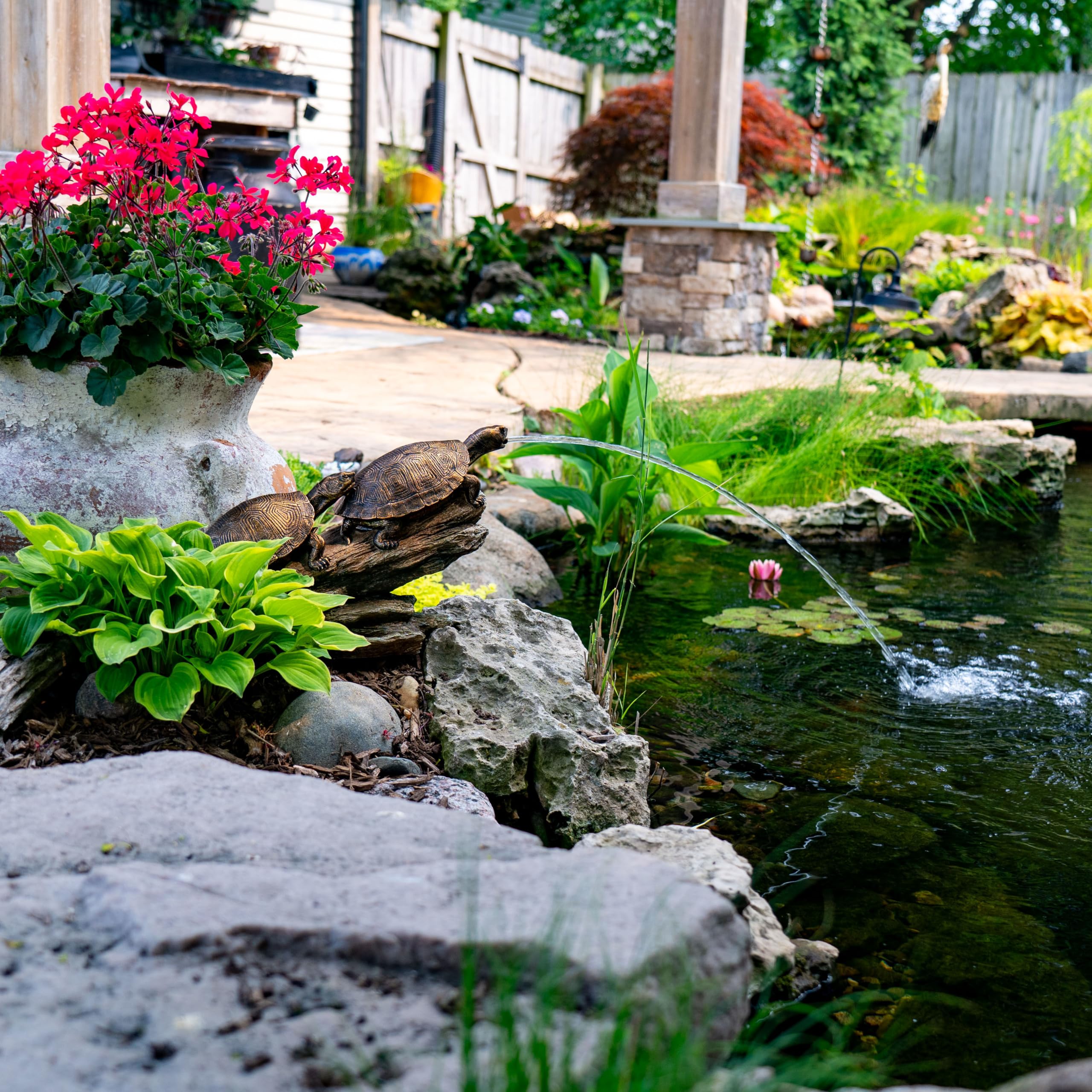 Aquascape nightlit lifestyle scene showing gentle illuminated water ambiance