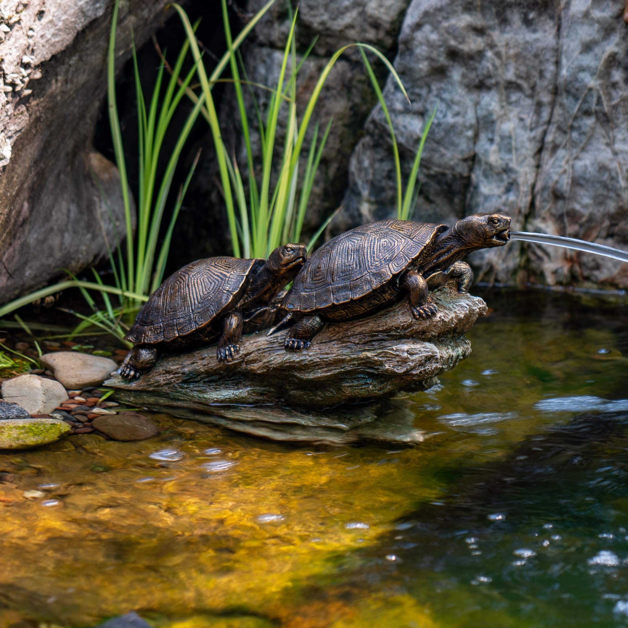 Aquascape double turtle side profile highlighting natural log shape and placement