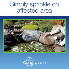 Aquascape EcoBlast before and after on treated rock surfaces for cleaner look