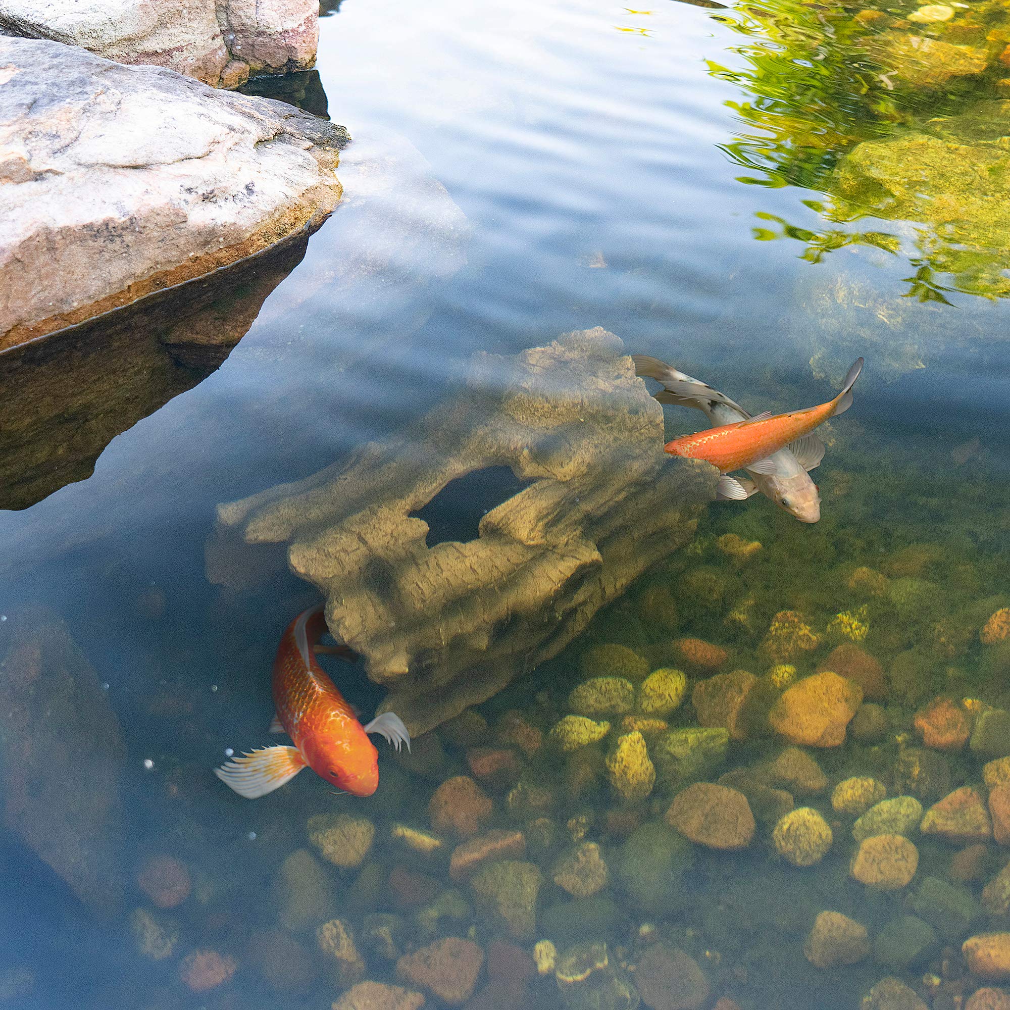 Aquascape faux log underwater interior showing fish shelter and safety benefit