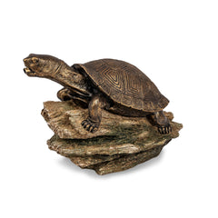Aquascape front view of turtle on log spitter showing charming design and focal appeal