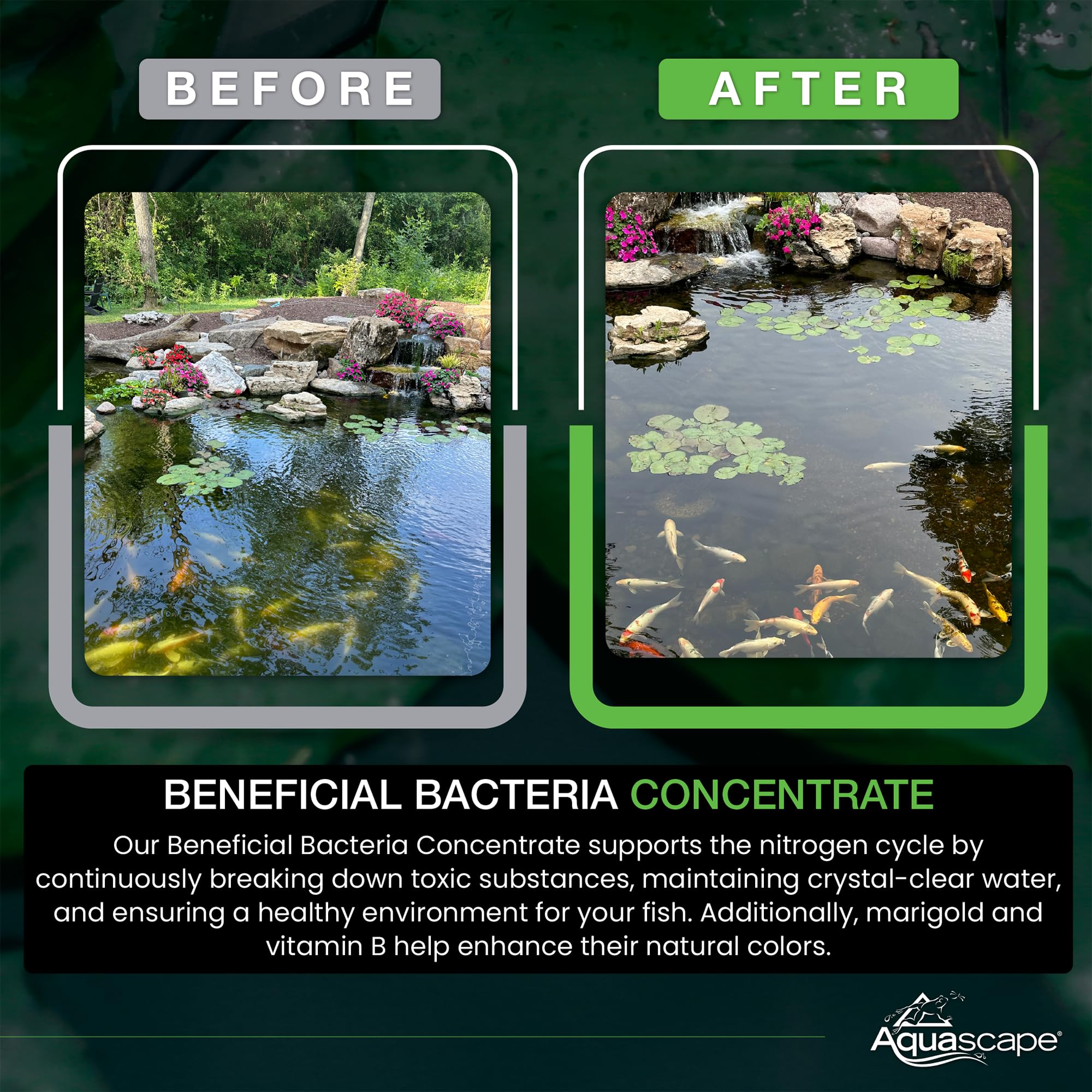 Aquascape being broadcast into pond to clarify water and reduce debris