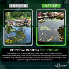 Aquascape being broadcast into pond to clarify water and reduce debris