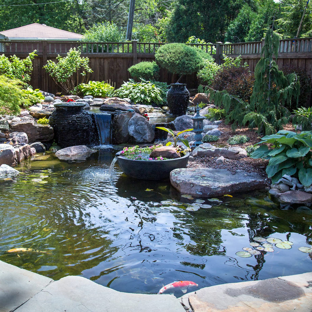 Aquascape label and directions view for safe correct dosing benefit