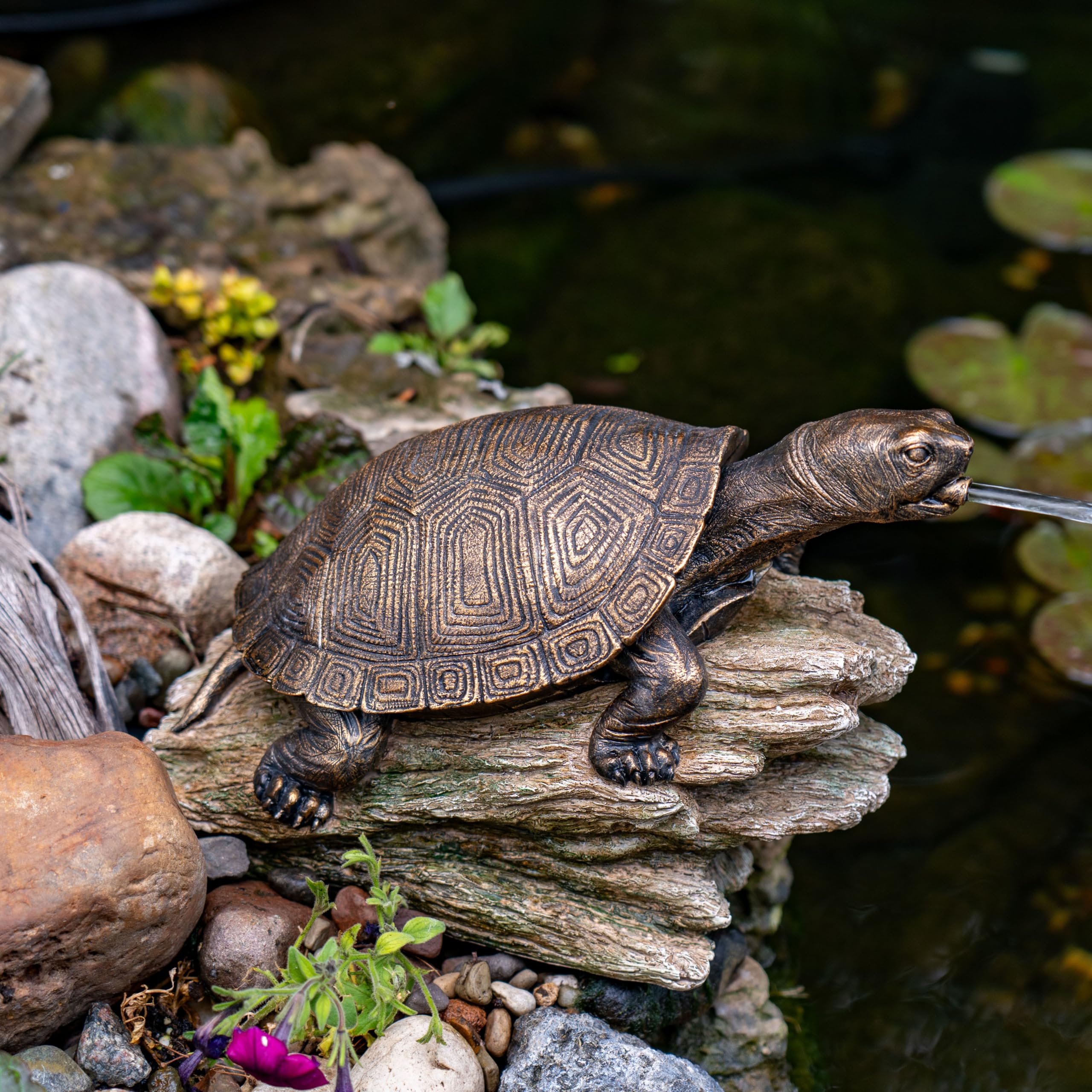 Aquascape installed in patio container pond showing suitability for small spaces
