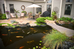 Aquascape being added to a backyard pond demonstrating clearer water benefits
