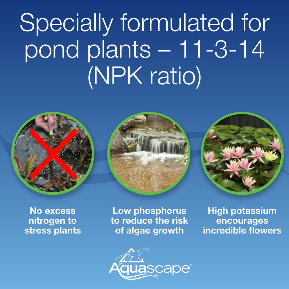 Aquascape capsule next to coin showing compact size and simple handling benefit
