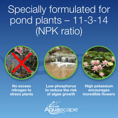 Aquascape capsule next to coin showing compact size and simple handling benefit