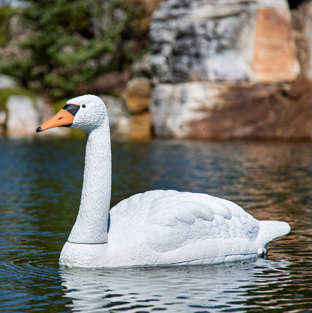 Aquascape swan front view showing lifelike shape and deterrent benefit