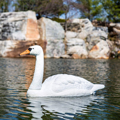 Aquascape swan floating in pond protecting fish by deterring predators