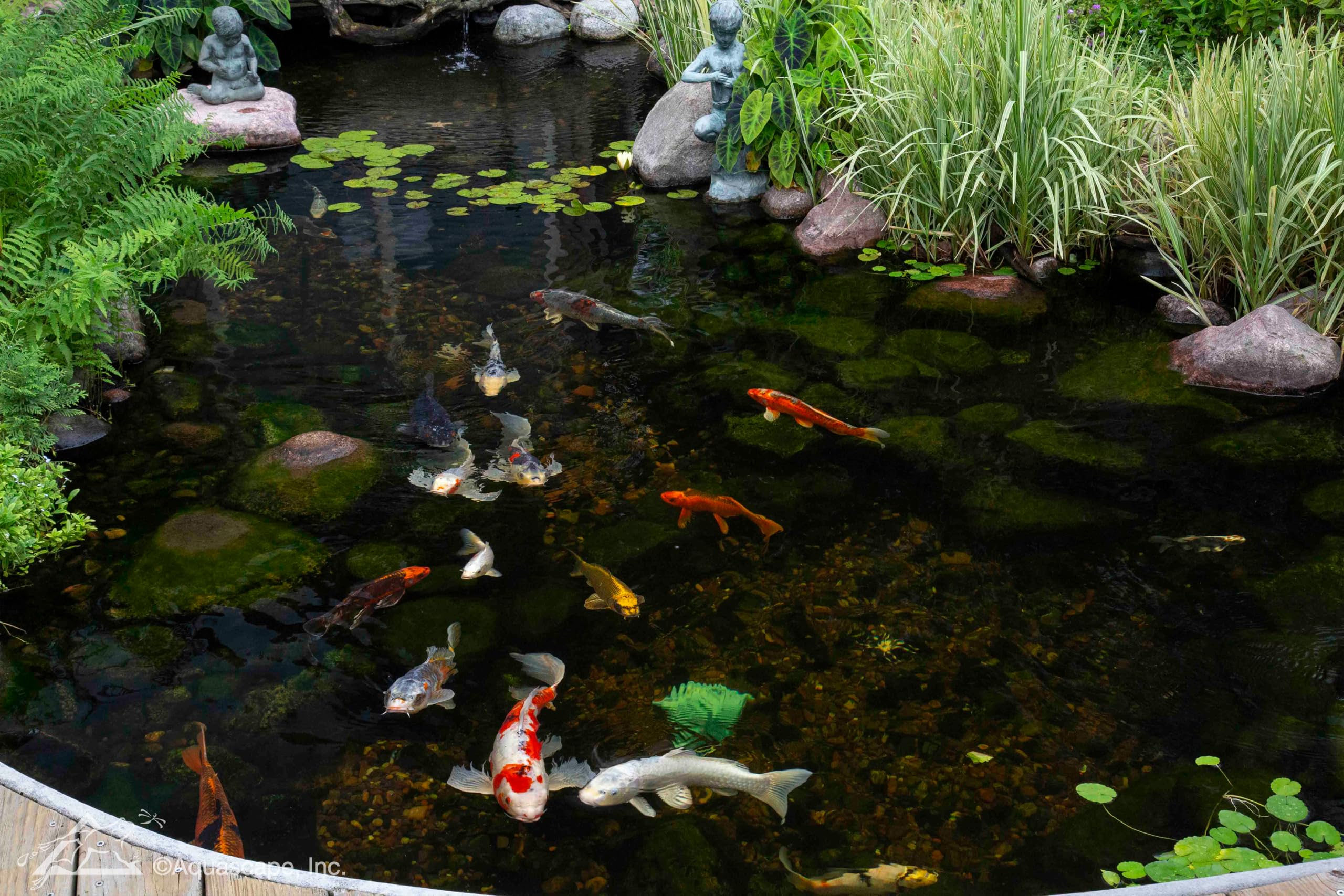 Aquascape UltraKlean beside hand for scale showing compact footprint and space-saving benefit