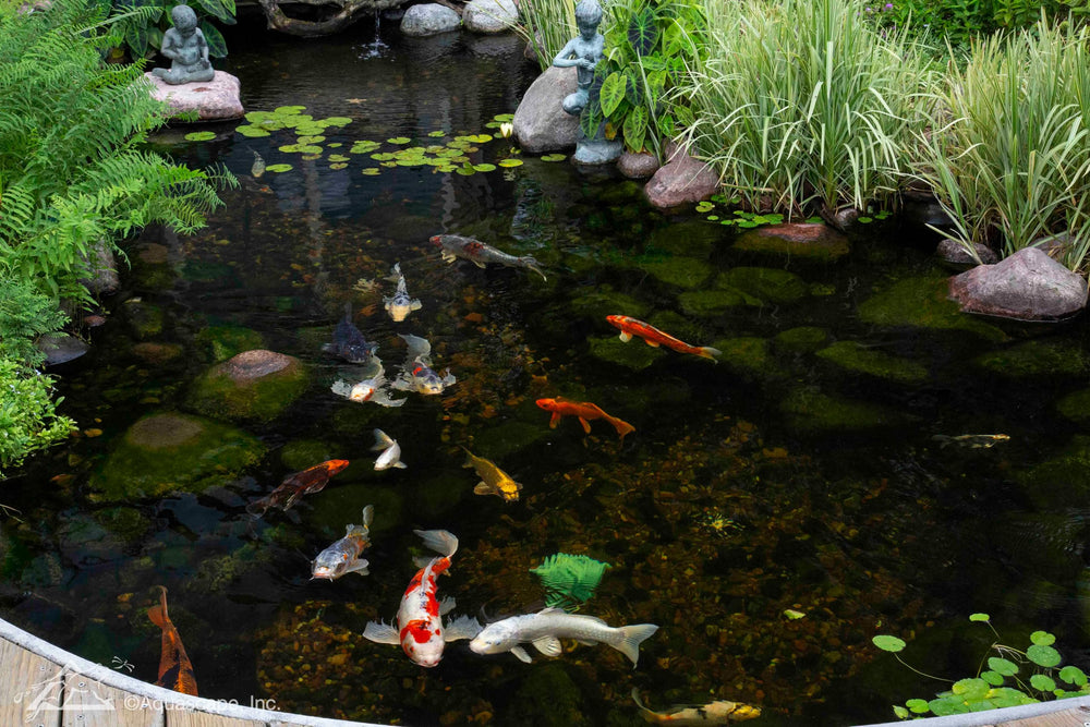 Aquascape UltraKlean beside hand for scale showing compact footprint and space-saving benefit