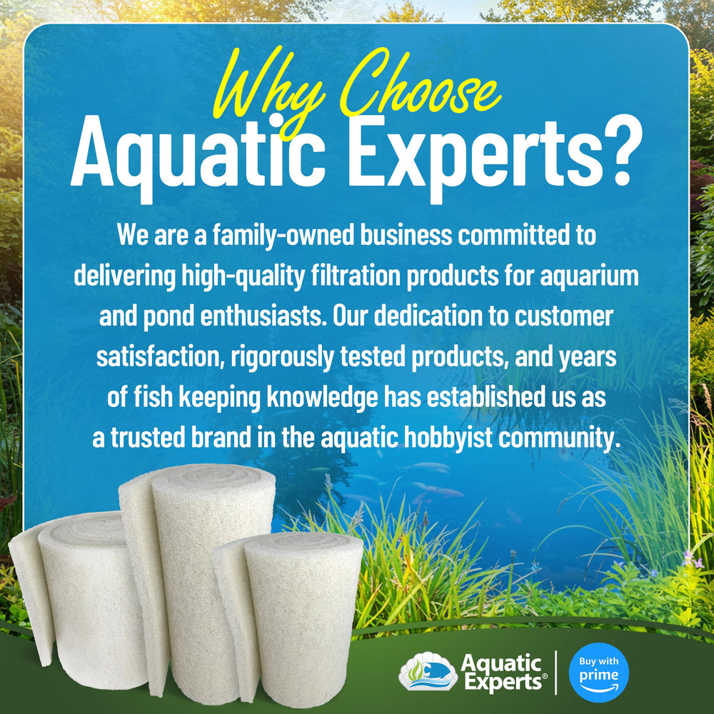 Aquatic Experts pad in a backyard koi pond scene, illustrating clearer water benefit