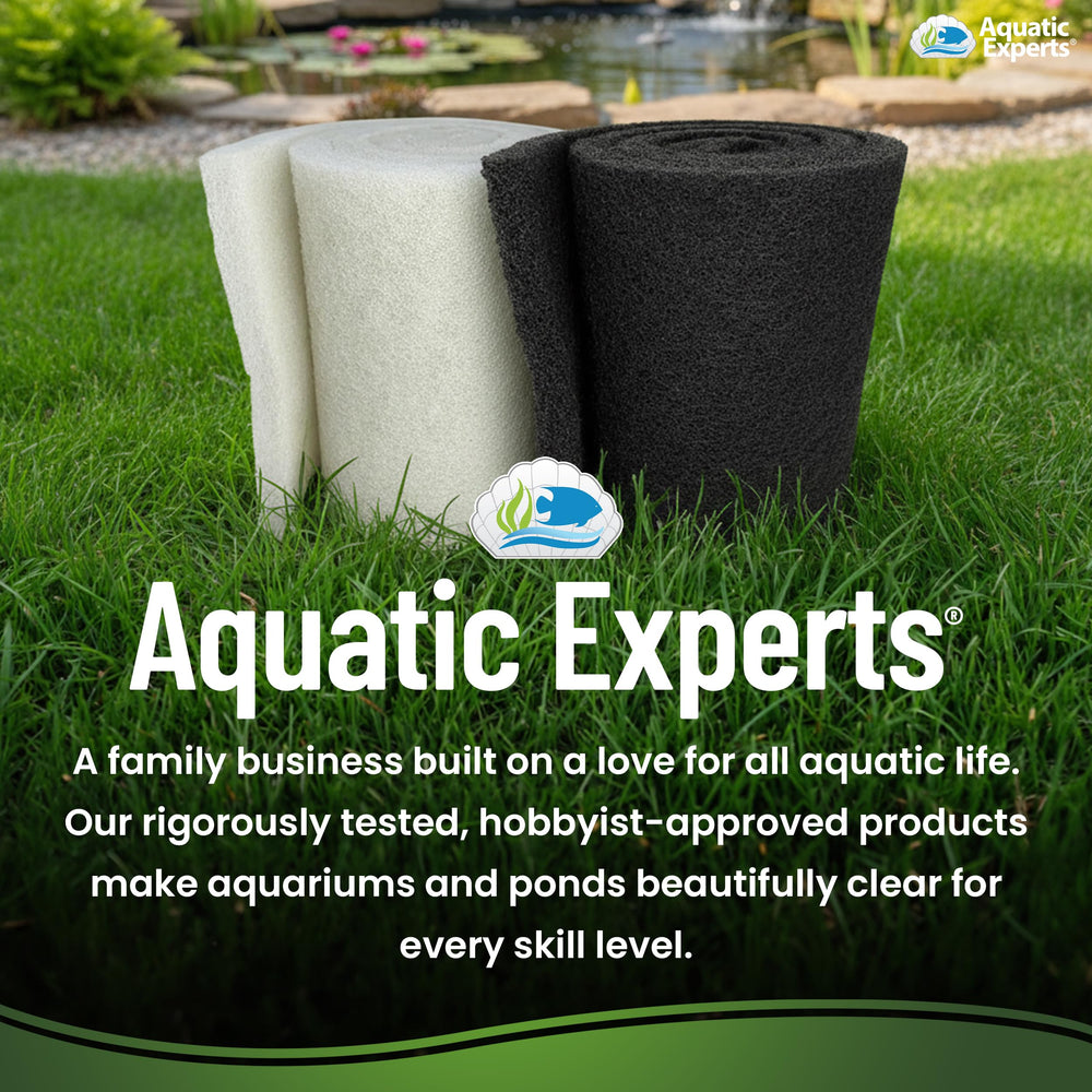 Aquatic Experts pond-side scene with koi showing healthier-looking water after filtration