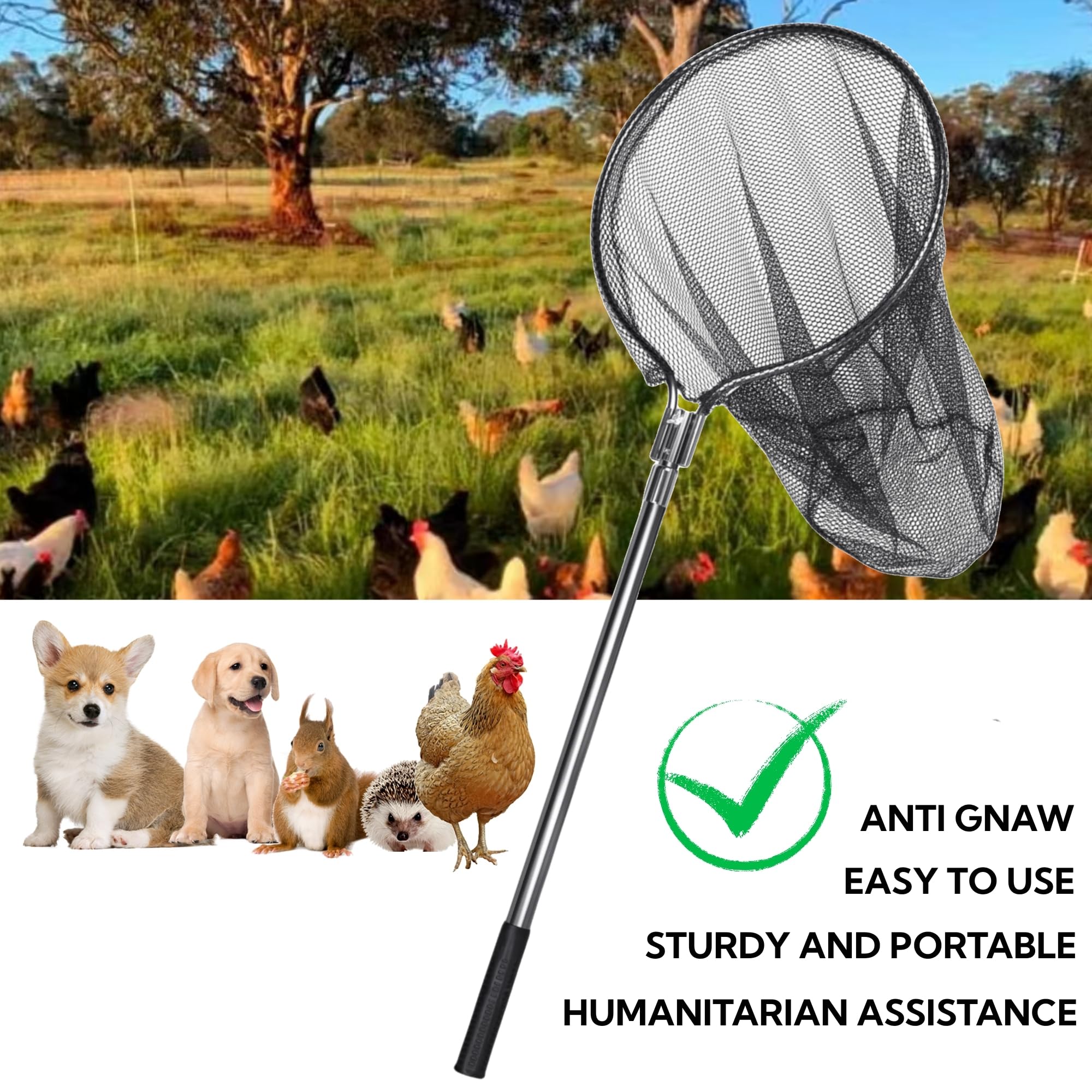 AQWXC net capturing a duck gently for safe transfer and low stress
