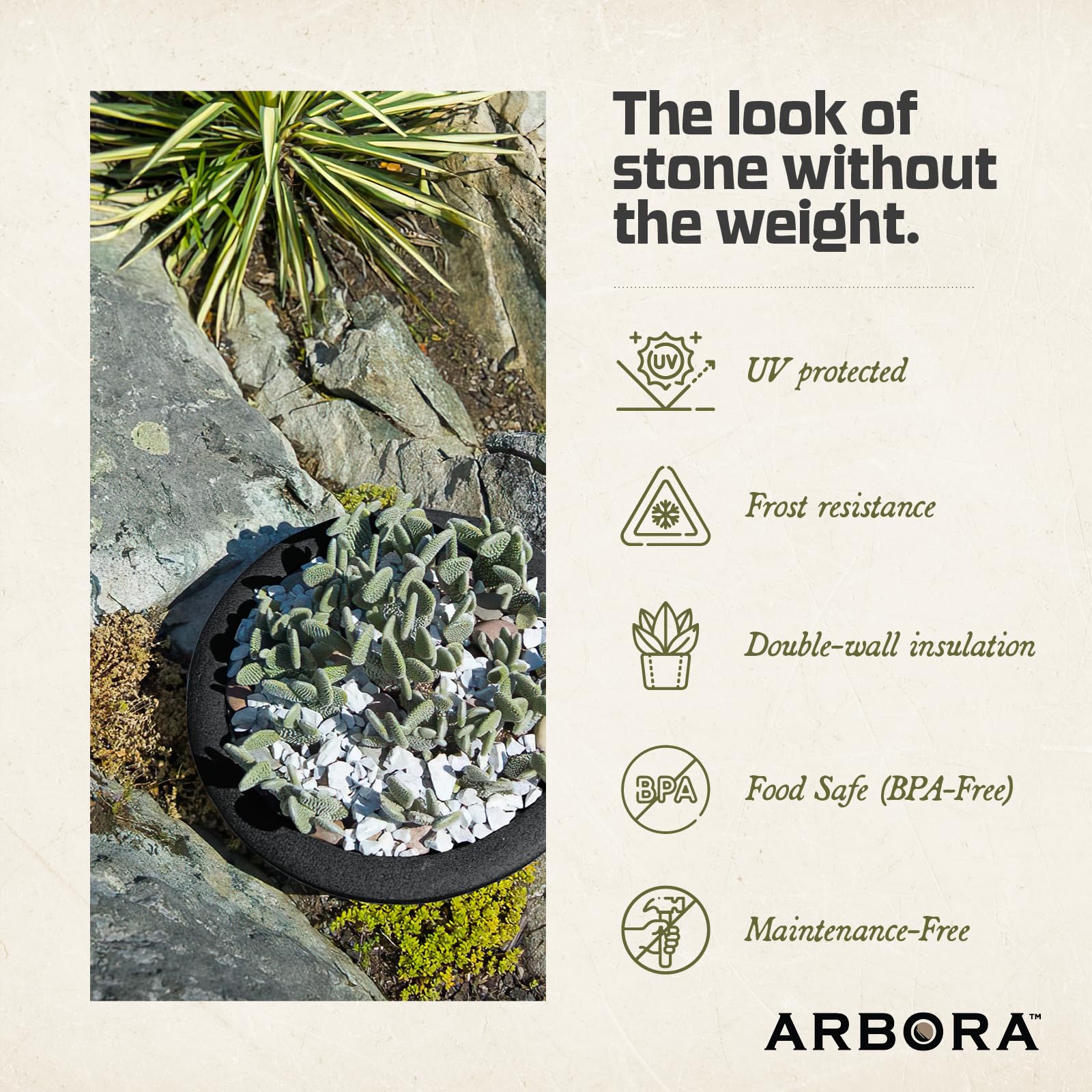 ARBORA Santorini Bowl overhead with mixed succulents showing planting capacity