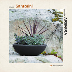 ARBORA Santorini Bowl side profile displaying shallow wide design and stability